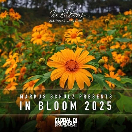 Markus Schulz - In Bloom 2025 (Vocal Dance Mix) (2025) MP3 Markus Schulz - In Bloom 2025 (Vocal Dance Mix) (2025) MP3