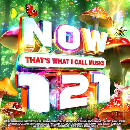 Now That’s What I Call Music! 121 [2CD] (2025) MP3