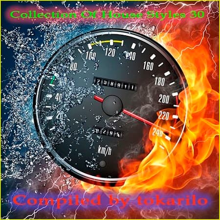 Collection Of House Styles 30 [Compiled by tokarilo] (2026) MP3